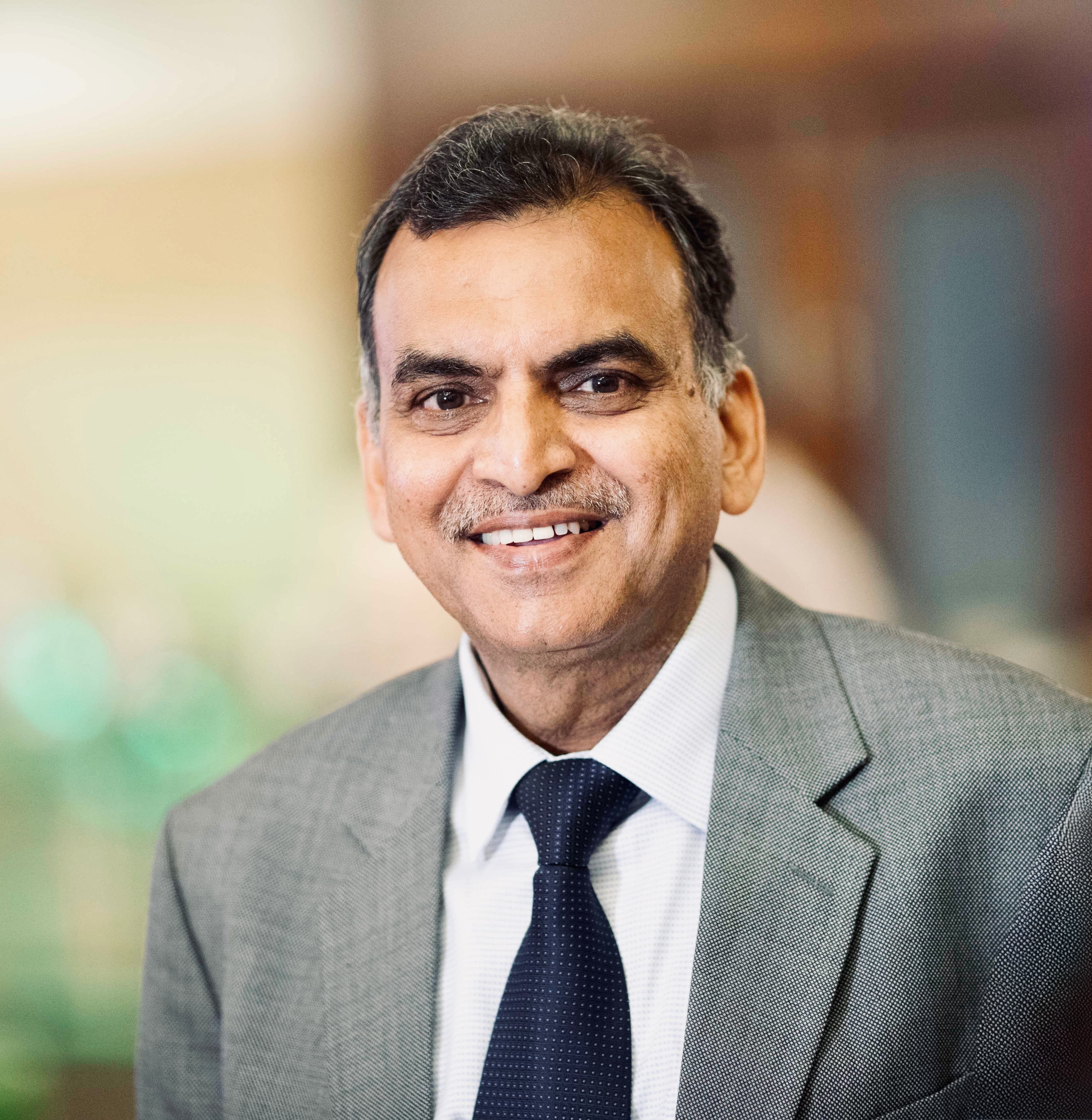 Dr. Rajnish Kumar Goel, Tunnel Design Advisor